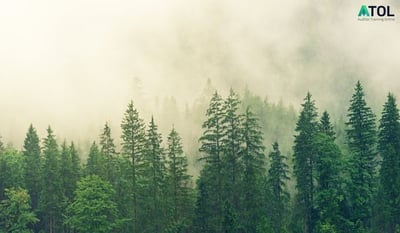 Defining ISO 14001:2015 Clause 4.3 Environmental Management System