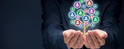 Audit Leadership & Commitment