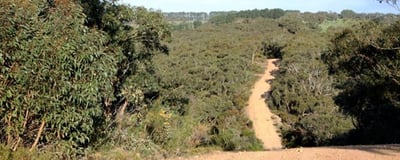 Importance of Slope of land and Bushfire Protection