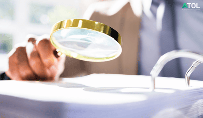 Explaining Audit Procedures