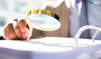 Explaining Audit Procedures