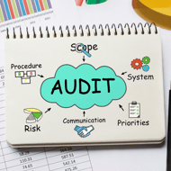 Audit