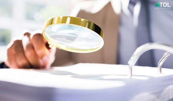 Explaining Audit Procedures